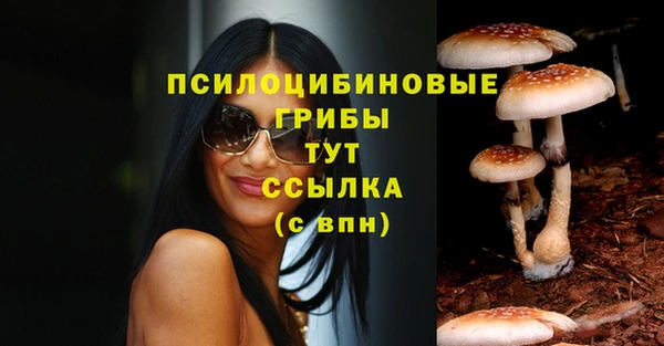 MDMA Premium VHQ Горнозаводск
