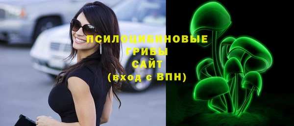 гидропоника Горно-Алтайск