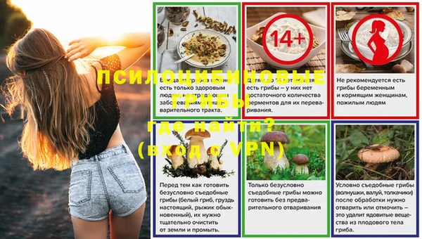 гидропоника Горно-Алтайск